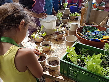 Kinder pflanzen Leguminosen in Töpfen an