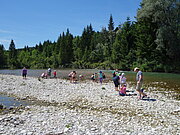 Eine Gruppe sammelt an einem Fluss Naturmaterialien