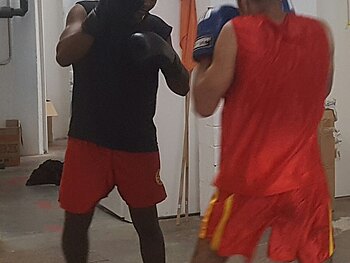zwei Boxer tänzeln um einander