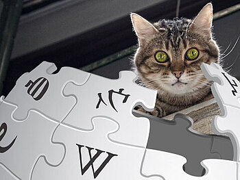Katze, Wikipedia-Kugel