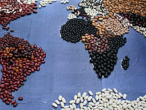 Weltkarte bestehend aus Bohnen