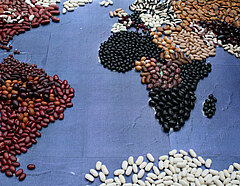 Weltkarte bestehend aus Bohnen