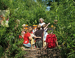Eine Frau führt eine Gruppe von Kindern durch eine tropische Pflanzenwelt