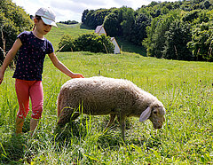 Ein Kind ist mit einem Schaf auf einer Wiese 